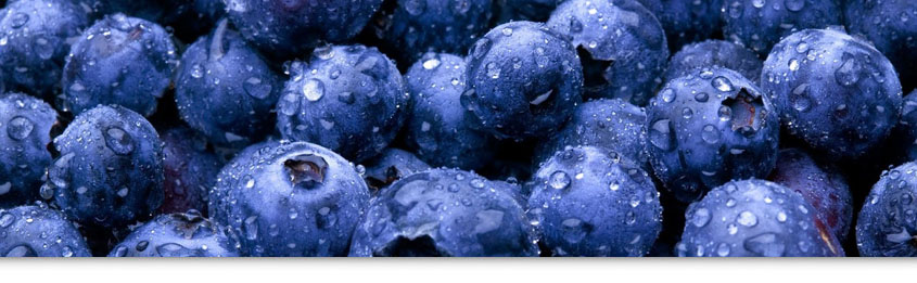 nutricion