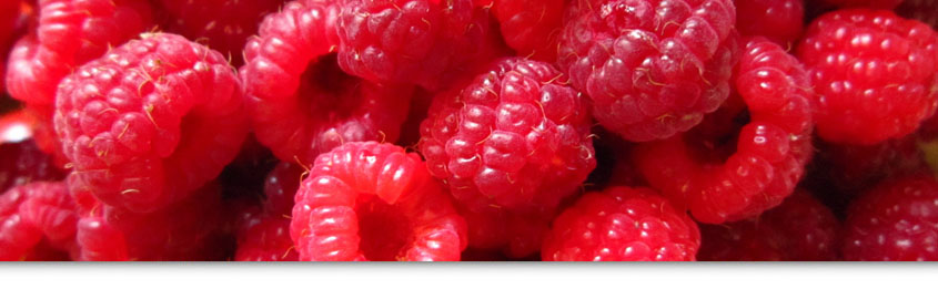 nutricion